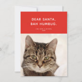 Beste Kerstman, Bah Humbug. Funny Holiday Foto Feestdagenkaart (Voorkant)