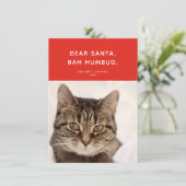 Beste Kerstman, Bah Humbug. Funny Holiday Foto Feestdagenkaart (Staand voorkant)