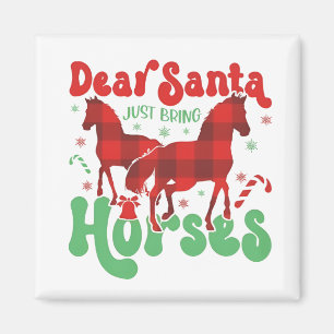 Beste Kerstman Breng gewoon de Paarden Funny Kerst Magneet