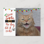 Beste kerstman, de hond deed het - Cat-Lover Feestdagenkaart<br><div class="desc">Een grappig vakantiegroet briefkaart met een foto van uw kat of u kunt het verzenden zoals voor de humor van het huisdier. De titel zegt: "Beste kerstman, de hond heeft het gedaan. (echt)" De groet "Meowy Kerstmis" en de persoonlijke boodschap kunnen aan de achterkant worden veranderd. (DE TIP VAN DE...</div>