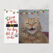 Beste kerstman, de hond deed het - Cat-Lover Feestdagenkaart (Voorkant)