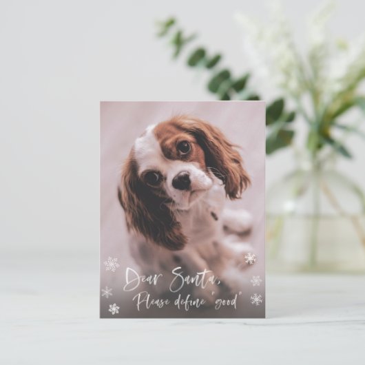 Beste Kerstman Definieer "Goede" Grappige Kerstfot Briefkaart (Staand voorkant)