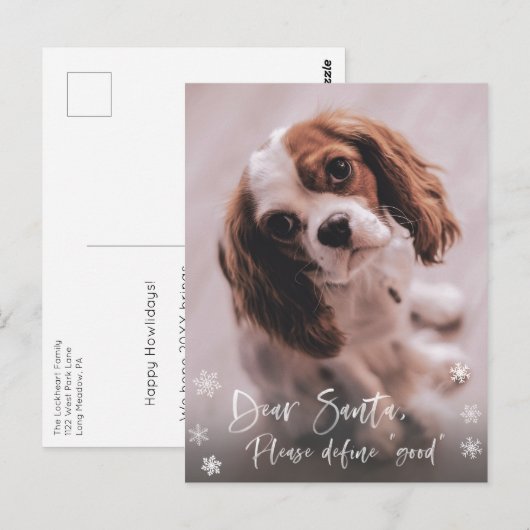 Beste Kerstman Definieer "Goede" Grappige Kerstfot Briefkaart (Voorkant / Achterkant)