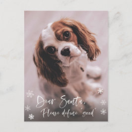 Beste Kerstman Definieer "Goede" Grappige Kerstfot Briefkaart