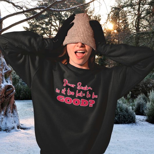 Beste kerstman, het is te laat om Goede Kerstmis t Trui