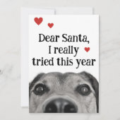 Beste Kerstman, ik heb dit jaar echt mijn best ged Feestdagenkaart (Voorkant)