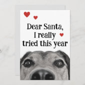 Beste Kerstman, ik heb dit jaar echt mijn best ged Feestdagenkaart (Voorkant / Achterkant)