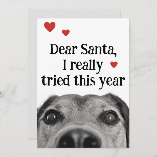 Beste Kerstman, ik heb dit jaar echt mijn best ged Feestdagenkaart (Voorkant / Achterkant)