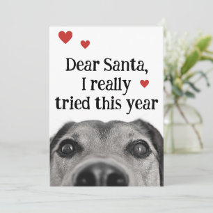 Beste Kerstman, ik heb dit jaar echt mijn best ged Feestdagenkaart