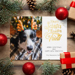 Beste kerstman, ik heb een foto van een huisdier g folie feestdagen briefkaart<br><div class="desc">Stuur deze leuke en leuke vakantiekaart naar je familie en vrienden om kerstcadeautje te verspreiden. Deze kaart bevat trendy en moderne typografie die "Beste Kerstman die ik echt geprobeerd heb" in gouden handgeschreven lettertypen van de folie leest. Voeg je afbeelding of je kind toe om je te personaliseren. De rug...</div>