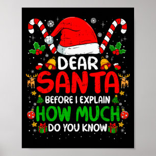 Beste Kerstman Ik Kan Het Uitleggen Grappige Kerst Poster
