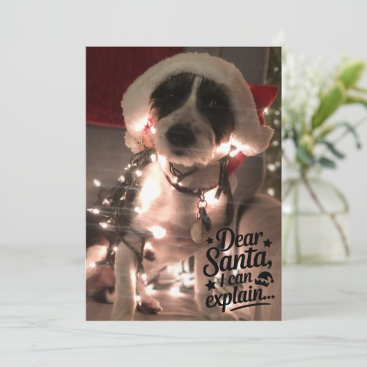 Beste Kerstman, ik kan het uitleggen (hond) Kaart (Staand voorkant)