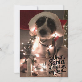 Beste Kerstman, ik kan het uitleggen (hond) Kaart
