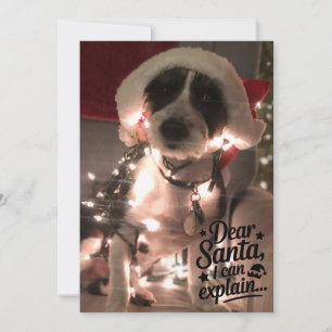 Beste Kerstman, ik kan het uitleggen (hond) Kaart