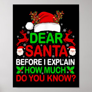 Beste Kerstman Ik Kan Uitleggen Funny Kerst Truien Poster