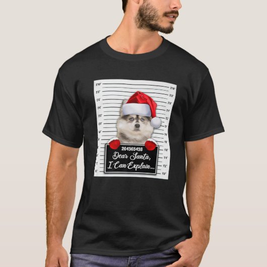 Beste Kerstman Ik kan uitleggen Grappige Kerstmis  T-shirt (Voorkant)
