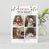 Beste Kerstman Naughty Funny Dog Kerstfoto Feestdagenkaart (Staand voorkant)