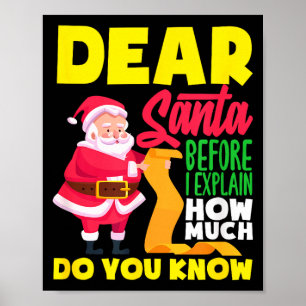 Beste Kerstman Voor Ik Uitleg Hoeveel Weet Je Grap Poster