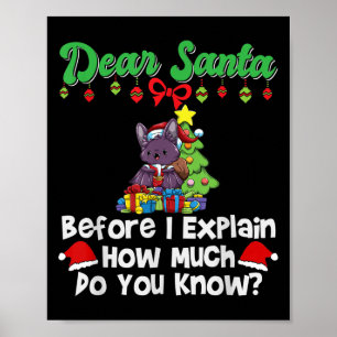 Beste Kerstman Voordat ik het Uitleg Hoeveel Weet  Poster