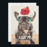 Beste kerstman, we kunnen Feestdagen fotokaarten u Feestdagenkaart<br><div class="desc">Grappige kerstkaarten met je favoriete foto. Er staat: "Lieve Kerstman, ik kan het uitleggen... ". U kunt de tekst wijzigen als u liever zegt "we kunnen het uitleggen". Personaliseer het met jouw naam, naam van het huisdier of familienaam op de achterkant. U kunt de kleur op de achtergrond aanpassen. Geïllustreerd...</div>
