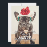 Beste kerstman, we kunnen Feestdagen fotokaarten u Feestdagenkaart<br><div class="desc">Grappige kerstkaarten met je favoriete foto. Er staat: "Lieve Kerstman, ik kan het uitleggen... ". U kunt de tekst wijzigen als u liever zegt "we kunnen het uitleggen". Personaliseer het met jouw naam, naam van het huisdier of familienaam op de achterkant. U kunt de kleur op de achtergrond aanpassen. Geïllustreerd...</div>