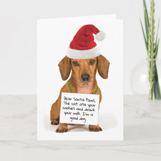 Beste kerstmis met Santa Paws Cute Dachshund Feestdagen Kaart (Voorkant)