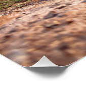 Beste kijkende klassieke klassieke auto's uit de k perfect poster (Hoek)