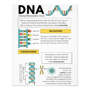 Beste kinderen Studenten Educatieve posters
