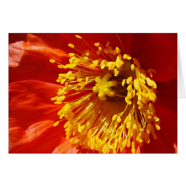 Beste kleding (Voorkant Horizontaal)