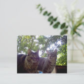 Beste kopen briefkaart (Staand voorkant)