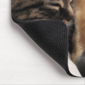 Beste kopen muismat (Hoek)