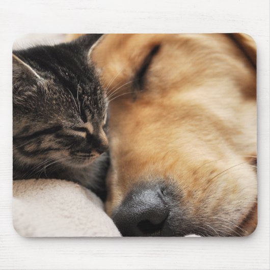 Beste kopen muismat (Voorkant)