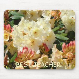BESTE LERAAR Cadeau Kerst Rhodies Muismatje Muismat