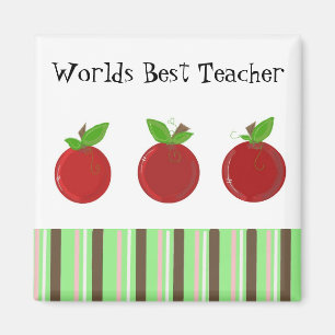 Beste Leraar ter Wereld Magneet