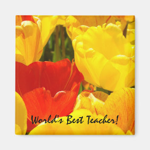 Beste Leraar Ter Wereld! magneet cadeaus Tulp Bloe