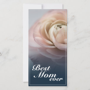 Beste Mam Ooit Met Big Pink Rose