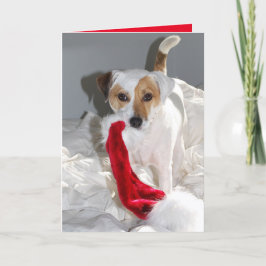 Beste mevrouw Claus JRT Kerstkaart Feestdagen Kaart