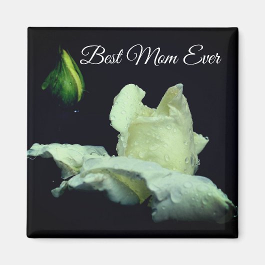 Beste moeder ooit Witte Rosebud Bloem Magneet (Voorkant)