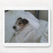 Beste Muismatten (Voorkant)