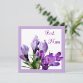 Beste Mum  paarse krokus kleurrijke bloemen Kaart (Staand voorkant)