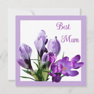 Beste Mum  paarse krokus kleurrijke bloemen Kaart