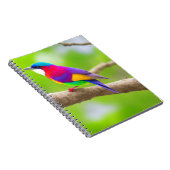 Beste Notitieboek selectie: waar stijl samenkomt (Rechterzijde)