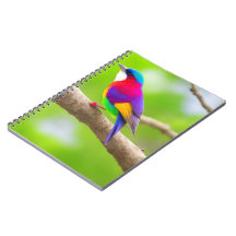 Beste Notitieboek selectie: waar stijl samenkomt