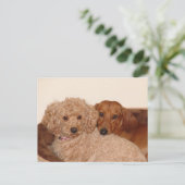 Beste onderzoek briefkaart (Staand voorkant)