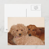 Beste onderzoek briefkaart (Voorkant / Achterkant)