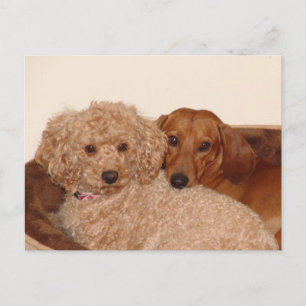 Beste onderzoek briefkaart