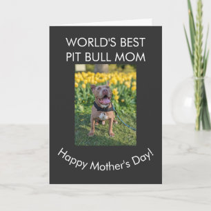 Beste Pit Bull-moeder ter wereld Kaart