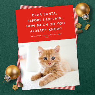 Beste Santa Cute Funny Pet Holiday-fotokaart Feestdagenkaart