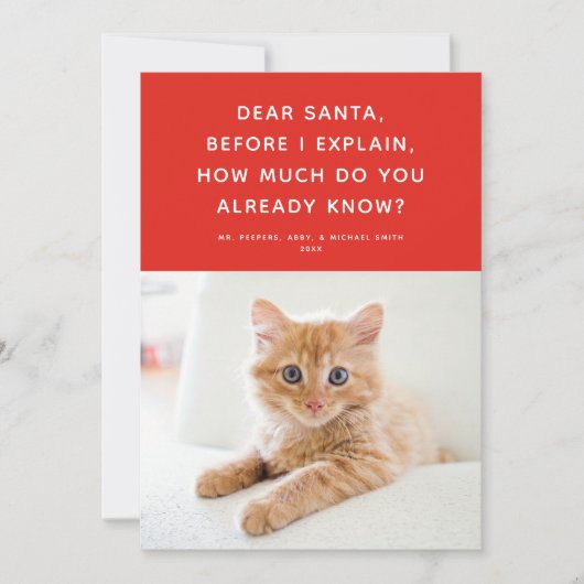 Beste Santa Cute Funny Pet Holiday-fotokaart Feestdagenkaart (Voorkant)