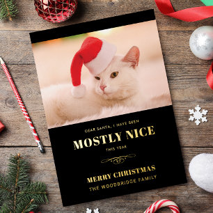 Beste Santa Schattige Cat Foto Kerst Folie Feestdagenkaart